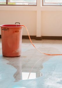 אינסטלטור בשוהם